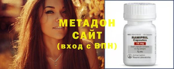 прущие грибы Надым