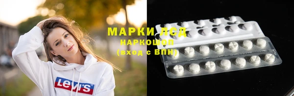 прущие грибы Надым