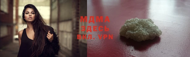 прущие грибы Надым