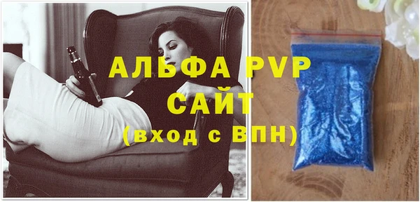 прущие грибы Надым