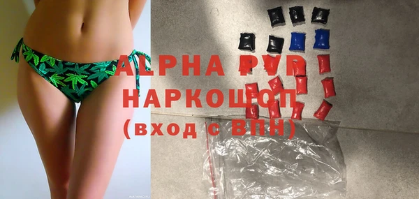 прущие грибы Надым