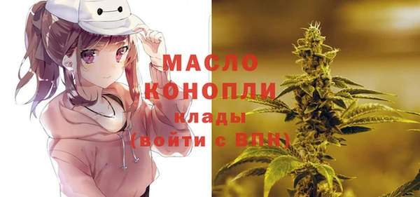 прущие грибы Рославль